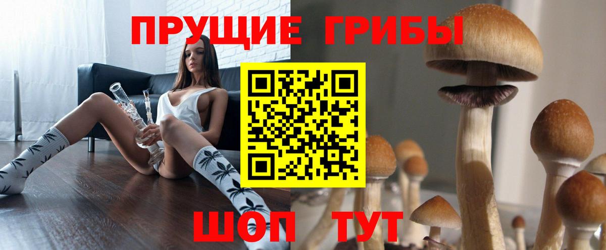 Псилоцибиновые грибы Psilocybe Белово